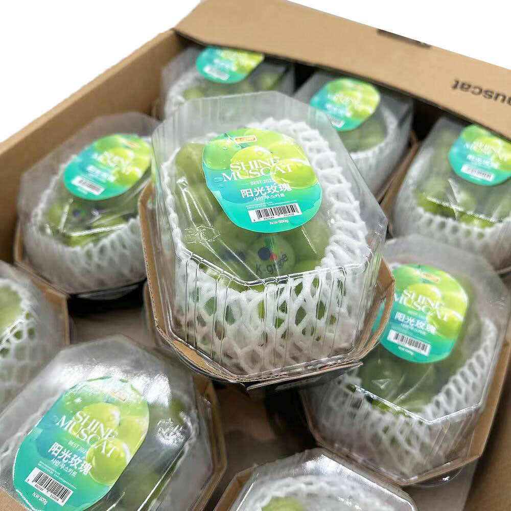 Korean-Premium-Shine-Muscat-Grapes-–-Seedless,-No-Need-to-Peel-–-1-Pack,-approx.-500g-2