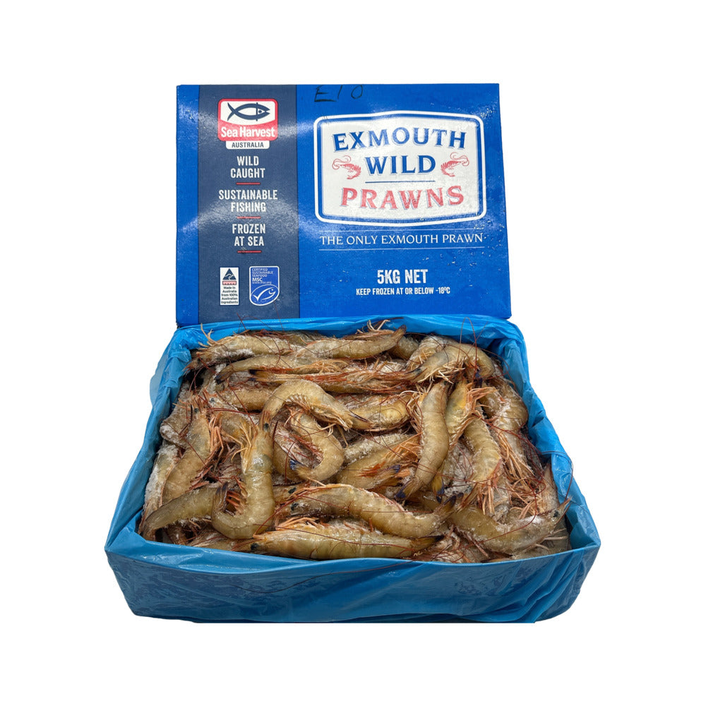 Shell Exmouth Exmouth Wild Prawns U10/20 – 5kg Box (Frozen at Sea) - Head-On Shell-O ...