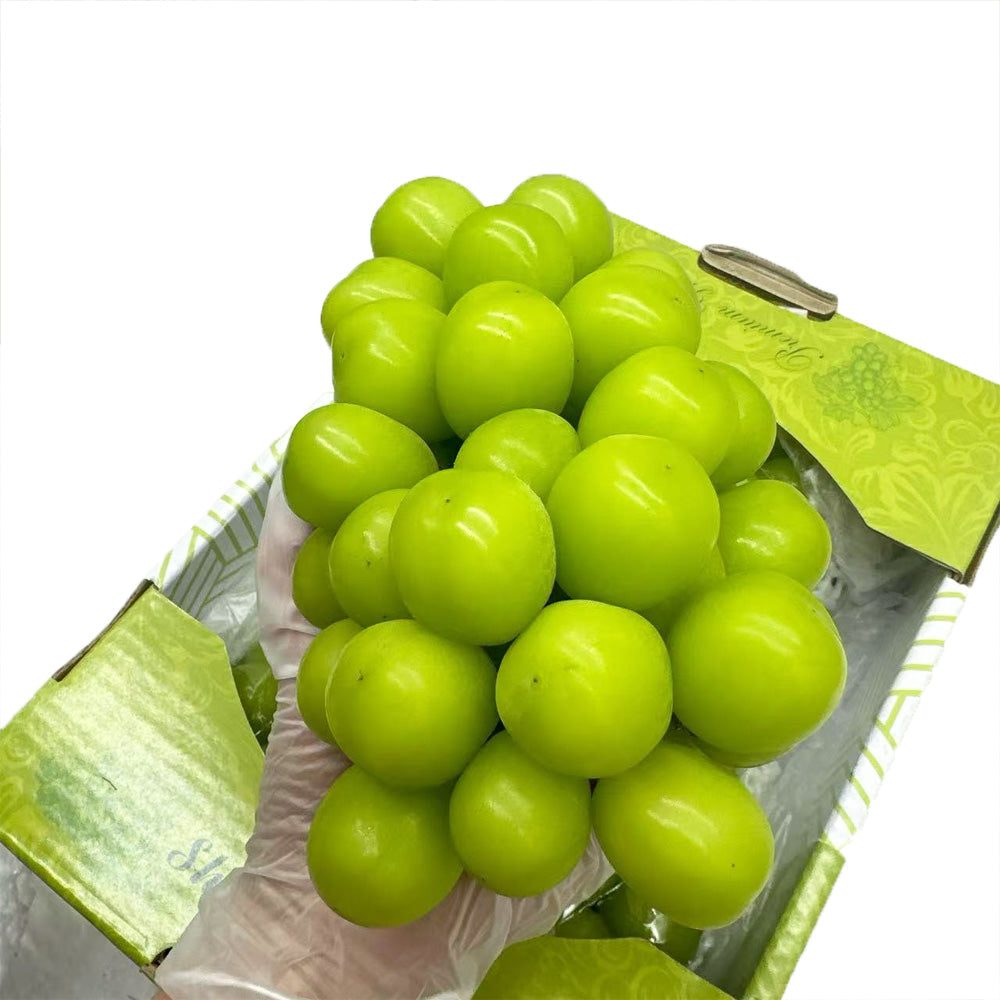 korean-shine-muscat-grapes-whole-box-approx-2kg-1