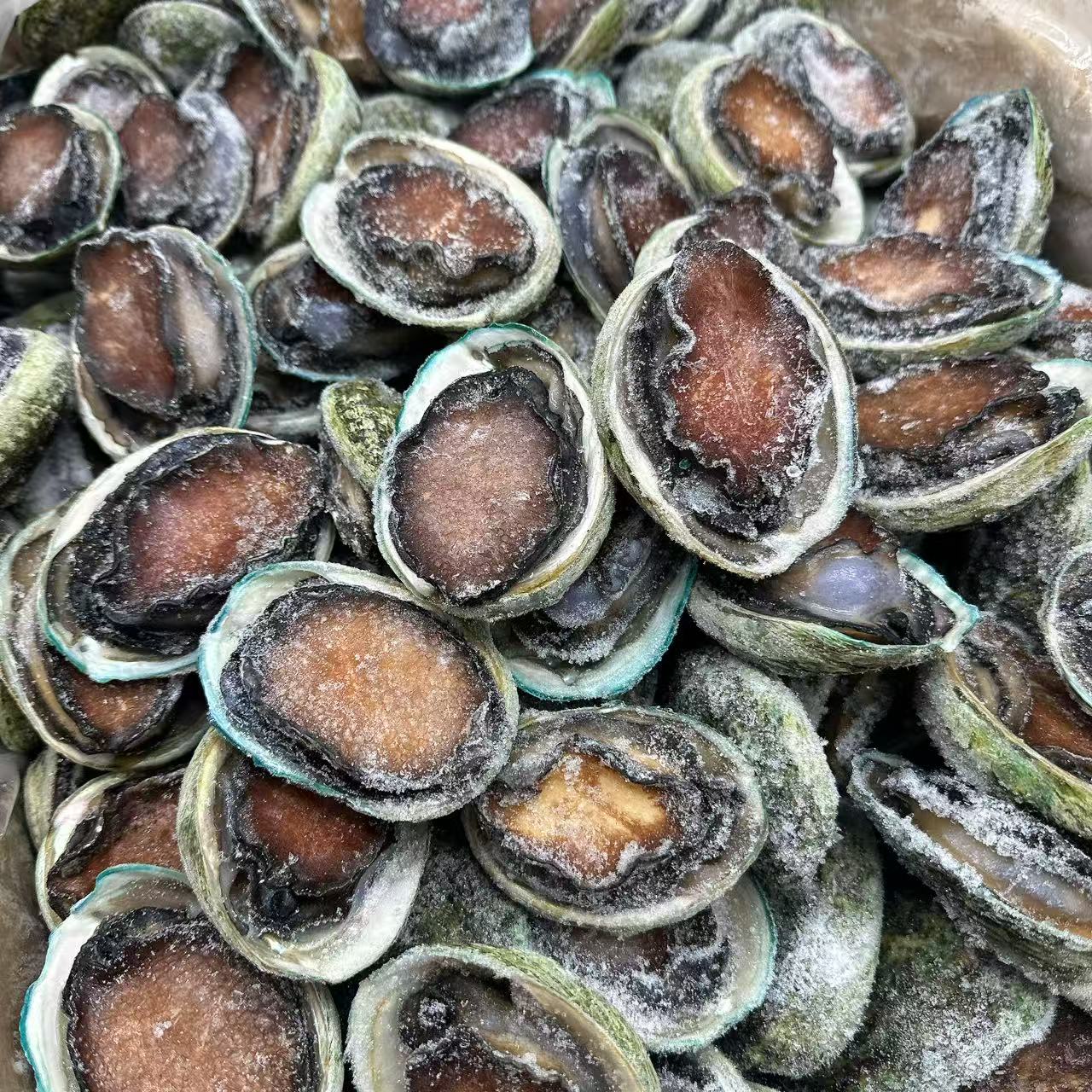 Frozen Tasmanian Black Gold Abalone 12 Pieces - 1kg – Asian Groceries ...