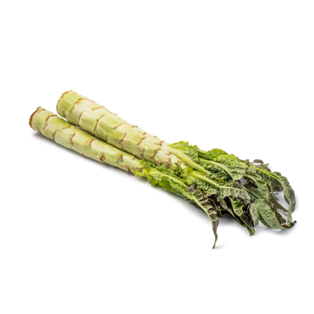 Xà Lách Thân (Celtuce) 2–4 cây – rau giòn mát cho salad, xào