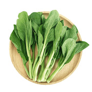 Bán chạy nhất at UMall Australia