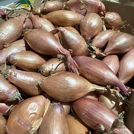 Hành tím (Shallots) 500 g – gia vị thơm cho xào, kho, nướng