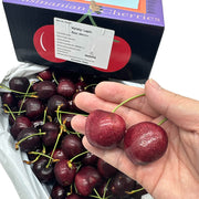 All Fruit at UMall Australia