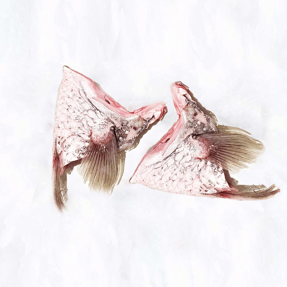 Chilled-Barramundi-Wing-Portions---1kg-1