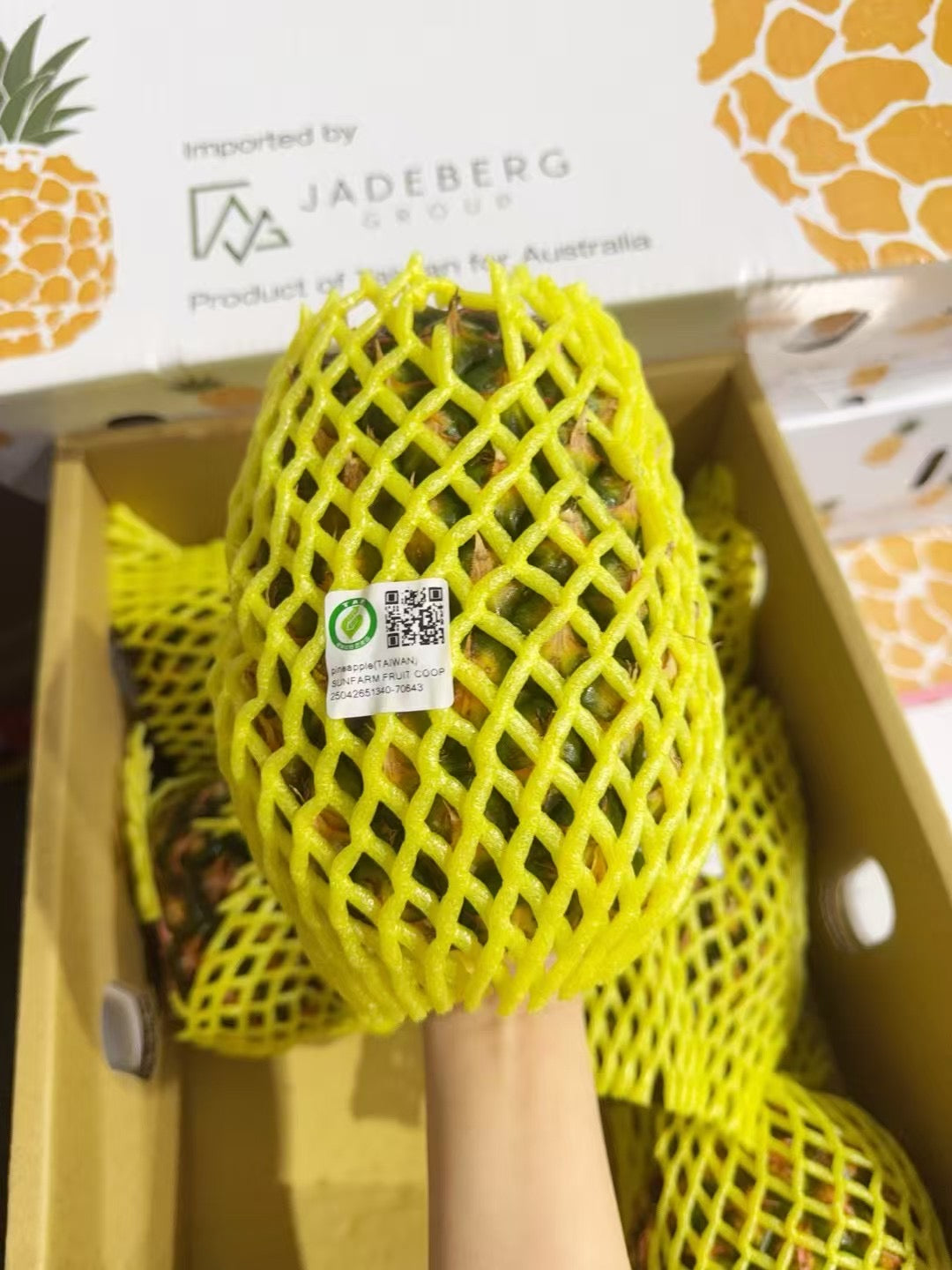 Taiwan-Golden-Diamond-Pineapples---Box-of-8-3