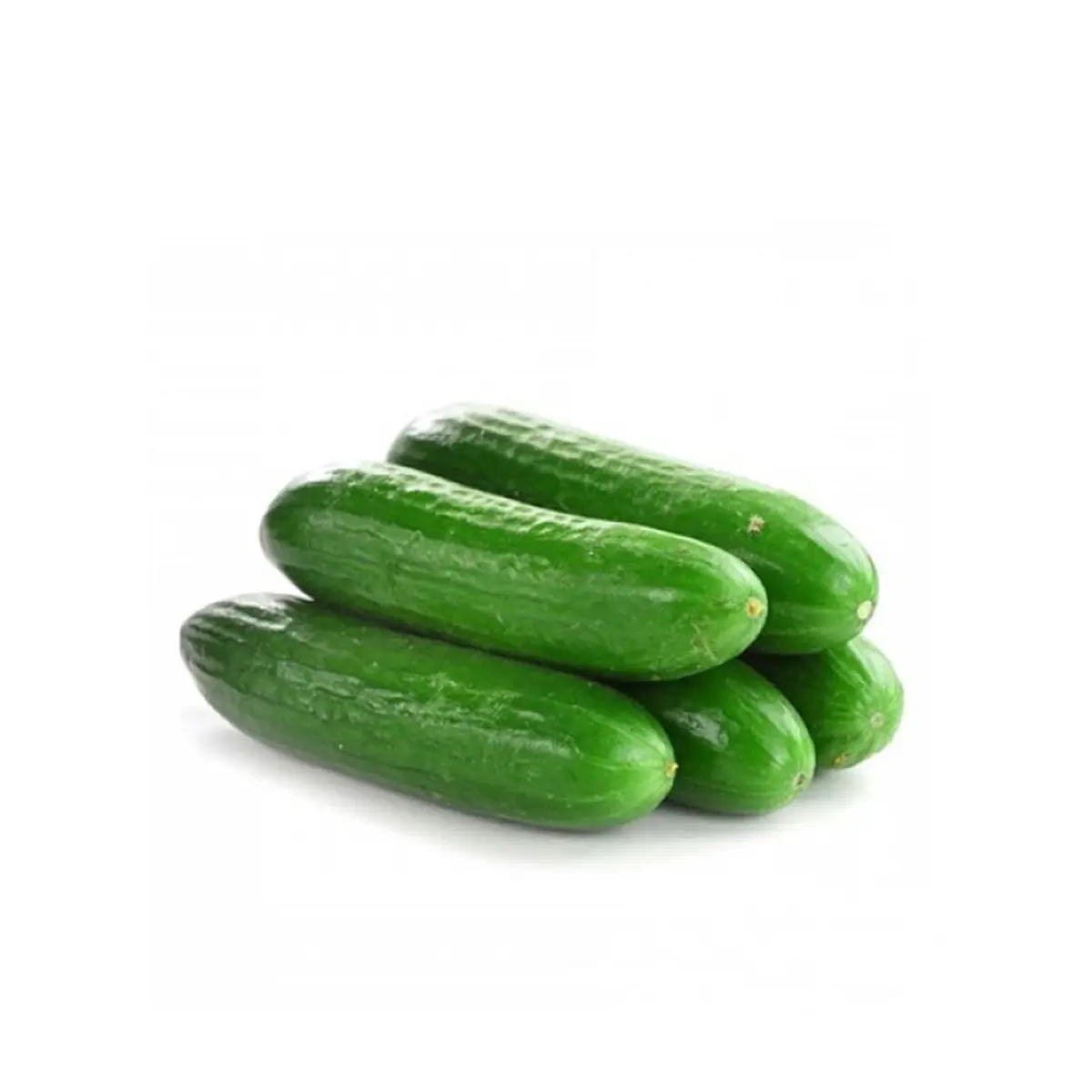 Cucumber Lebanese Each