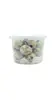 1. Sfp Fresh Quail Eggs Pack 16 thumbnail
