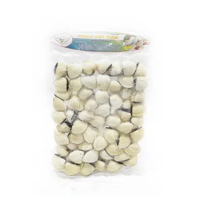 Lfs Frozen Pipi Clam 1kg