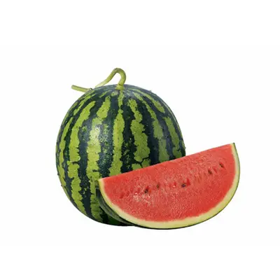 Watermelon Large Each