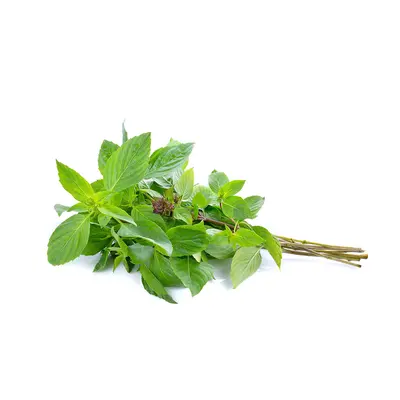 Basil Thai Bunch