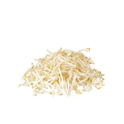 Bean Sprout 300g/ 400g