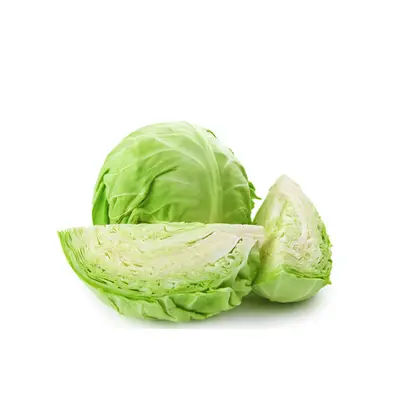Cabbage Plain Each