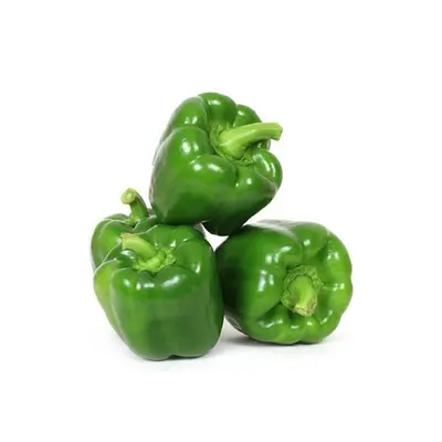 Capsicum Green Each