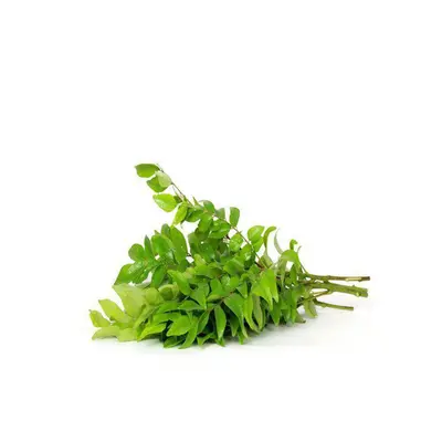 Curry Leaf 20g Pack