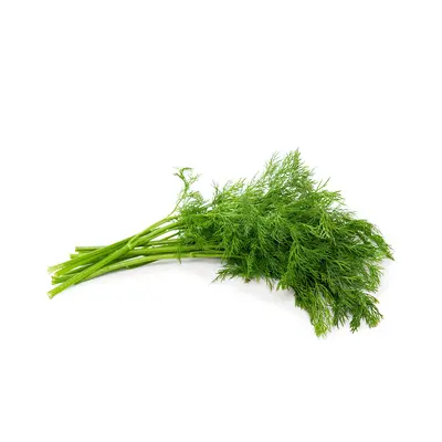 Dill Bunch