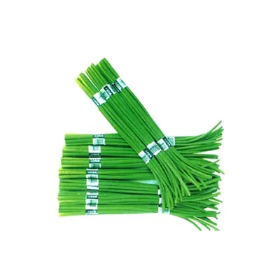 Garlic Shoot Bunch