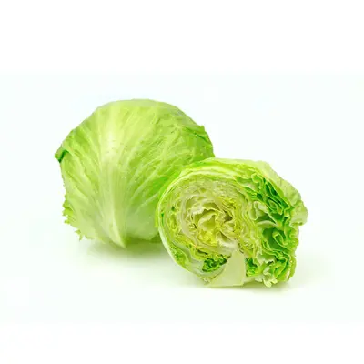 Lettuce Iceberg Each