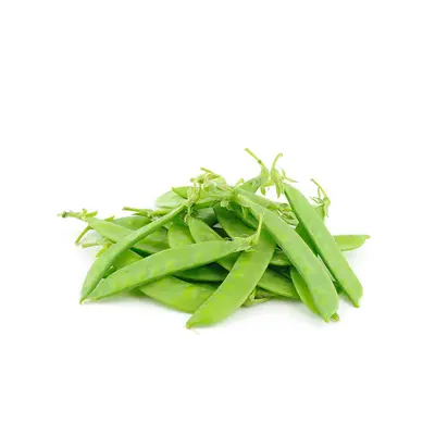 Pea Snow 250g Pack