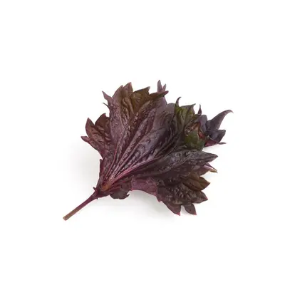 Shiso Red Bunch