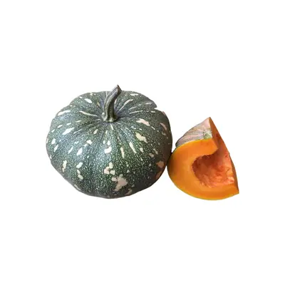 Pumpkin Japanese Quarter