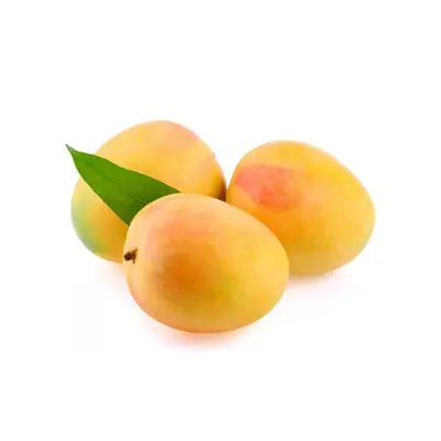 Mango Kensington Pride Tray