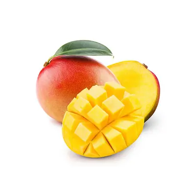 Mango R2E2 Tray