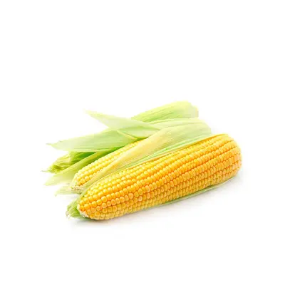 Corn Box