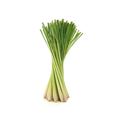 Lemongrass Kg