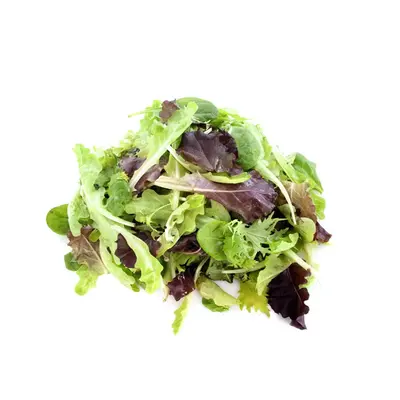 Salad Mix 1.5kg Box