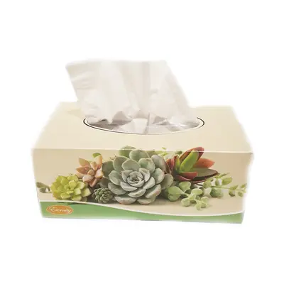 White Facial Tissue 2ply X 180