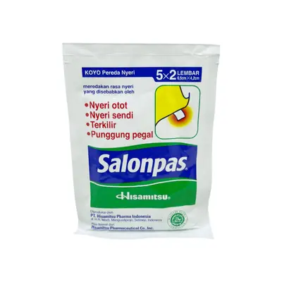 Hisamitsu Salonpas 5 X 2Lembar