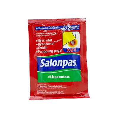 Hisamitsu Salonpas Hot 5 X 2Lembar